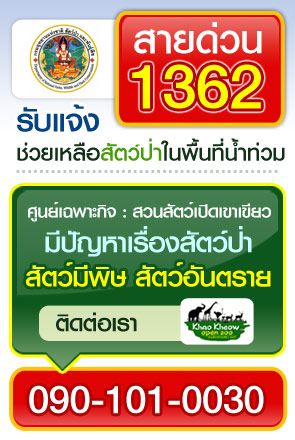 สายด่วน 1362